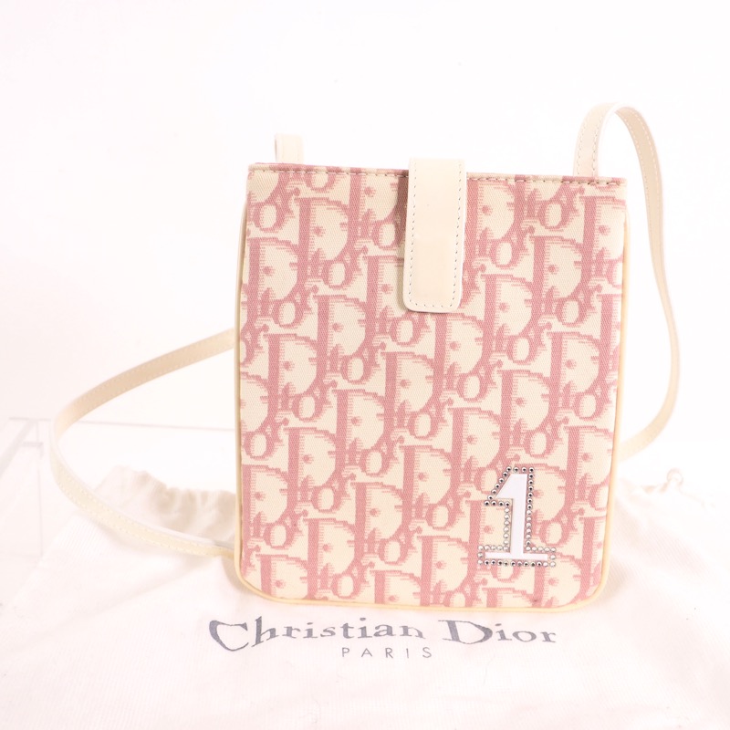 dior 1 bag