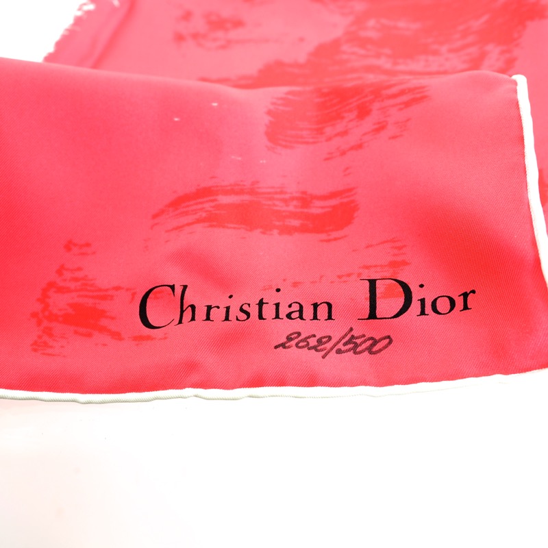 dior flag 2