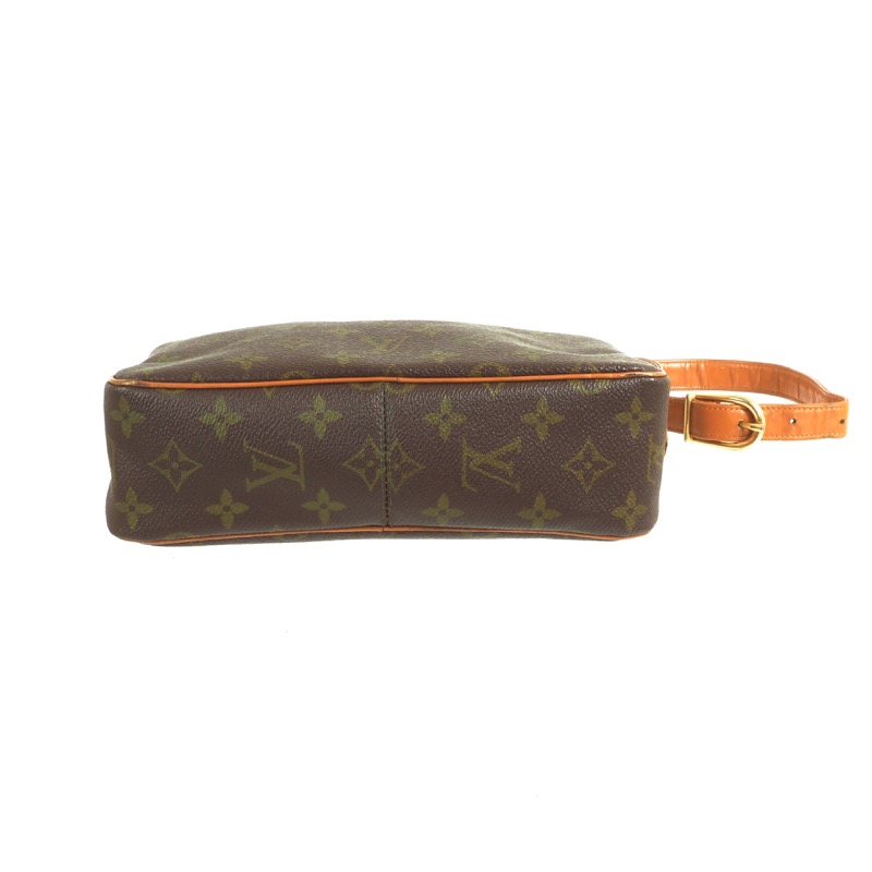 Louis Vuitton N63026 Brown Damier Tiger Illustration Zipper Round Wall –  Gaby's Bags